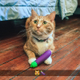 Image via Emojibator.